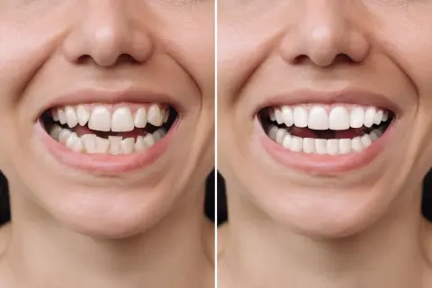 52 shutterstock 2328458421